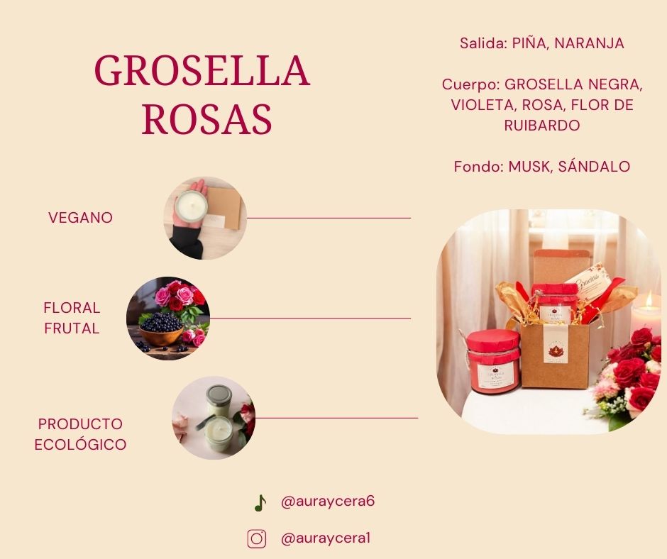 Vela Aromática de Grosella y Rosas  200g